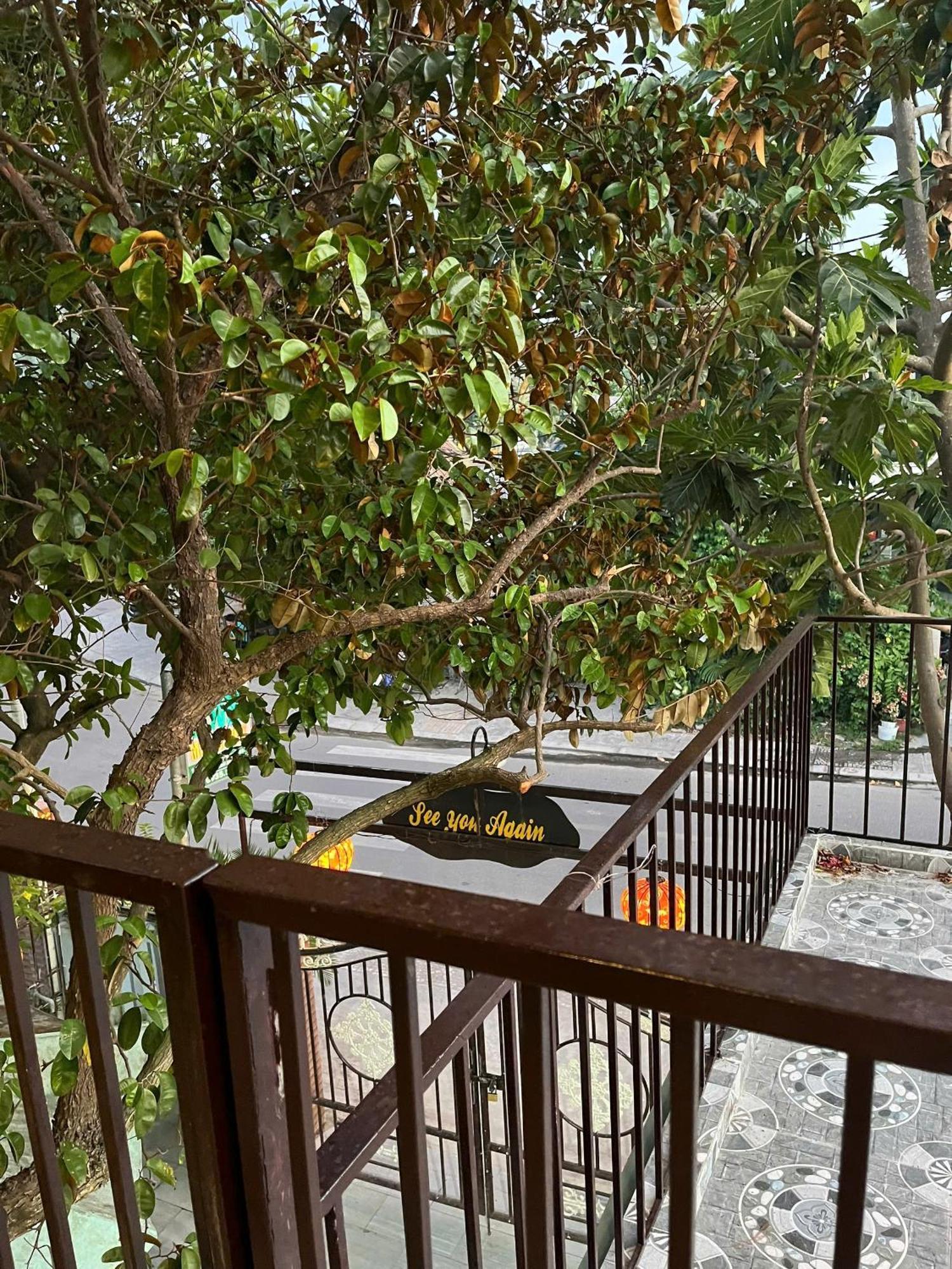 Milk Fruit Homestay - An Bang Beach Hoi An Eksteriør bilde